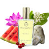KAAF Eau de Parfum – Fresh. Elegant. Uplifting