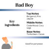 BAD BOY